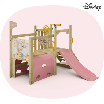 Disney's Winnie de Poeh First Experience peuter/kleuter klimtoestel van Wickey  835258_k