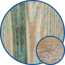 Individuelle Charakteristik