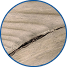 Individuelle Charakteristik